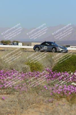 media/Jan-29-2023-PCA San Diego (Sun) [[aa0301ccc2]]/Yellow Group/Session 1 (Turn 15 Bloom)/